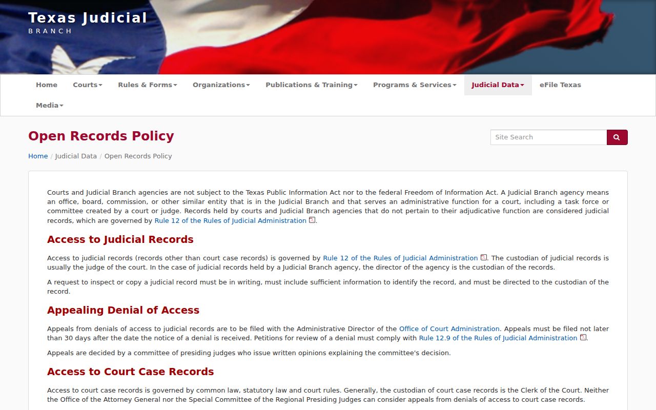Texas court access policy for Cottle County criminal case records